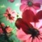 Square_120413-183616