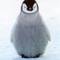 Square_avatar