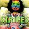 Square_a_bad_case_of_stipes_1285512528