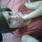 Square_avatar