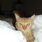 Square_004_1267386083