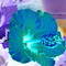 Square_fabulous_flowers_125_1269695535