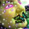 Fairy flatmeat