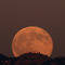 Square_lickmoonrise_baldridge_1274588150