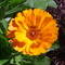 Square_320_1280114157