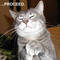 Square_avatar