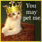 Square_icon036_1224466947